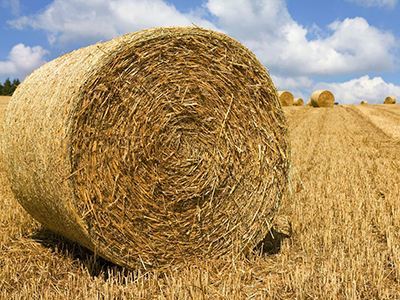 推动资源循环利用，构建绿色未来——解读“十四五”循环经济发展规划中的农作物秸秆与再生资源综合利用